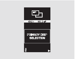   PRIMARY DISP SELECTION (  )  
