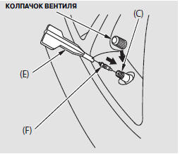 5.          (F)   (C), 