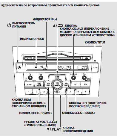    iPod