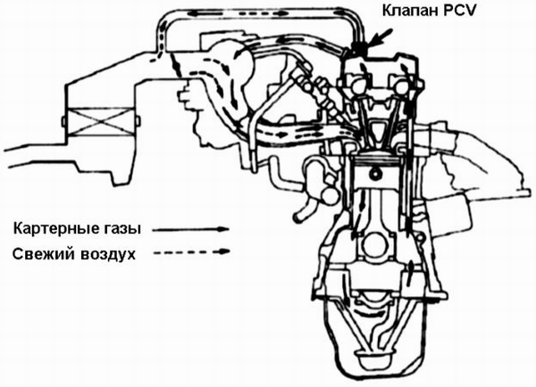  PCV (.  )     